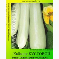 Семена кабачка Кустовой, высокая всхожесть