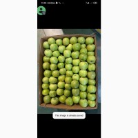 Продам яблоко Семеринка | Selling apples Semerika