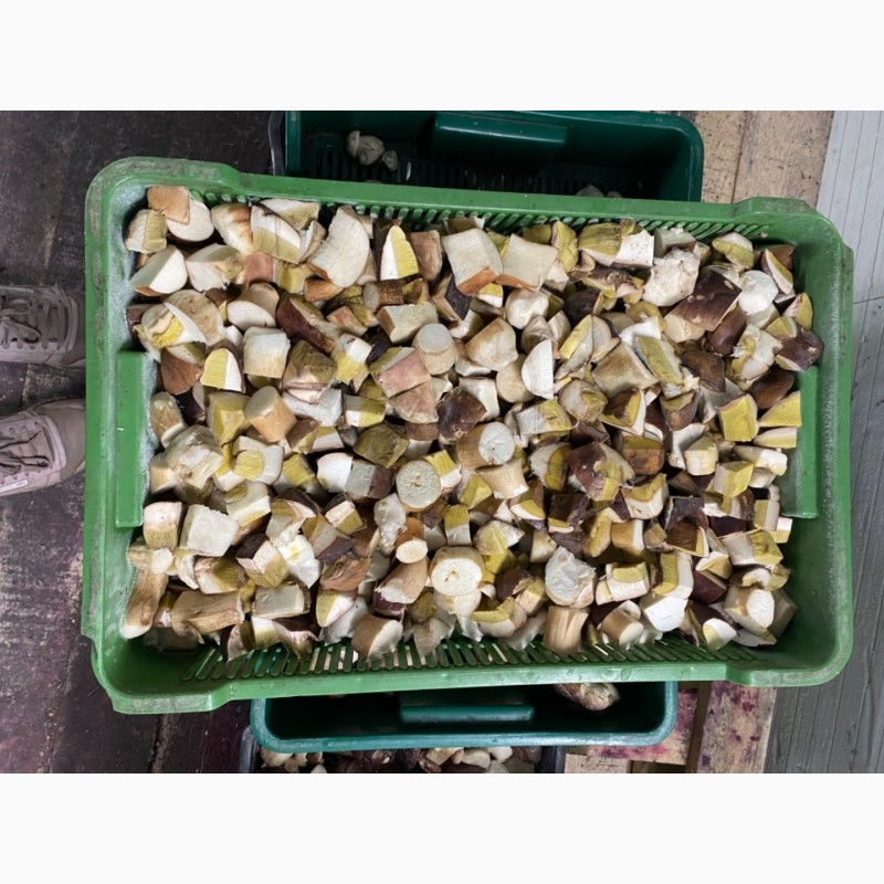 Фото 9. Продам заморожені білі гриби