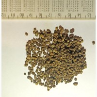 Продам насіння мальви лісової (Malva sylvestris L)