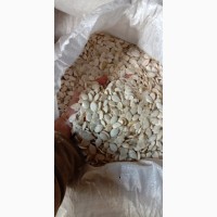 Продам насіння гарбуза. Сіро-воложськаОбъем -+5 т, Дніпропетровська обл