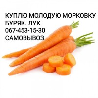Куплю морковку МОРКВУ дорого0