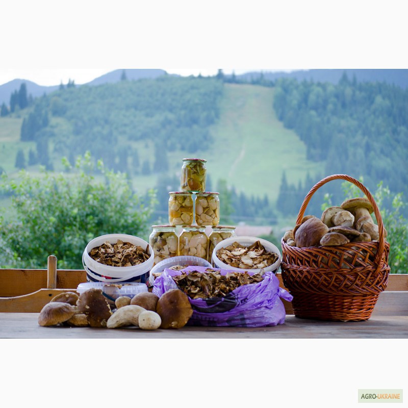 Фото 7. Продам белые консервированные и сухие грибы из Закарпатской области. 2014 г.
