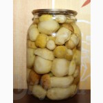 Продам белые грибы (свежемороженые, сухие, концервированые)