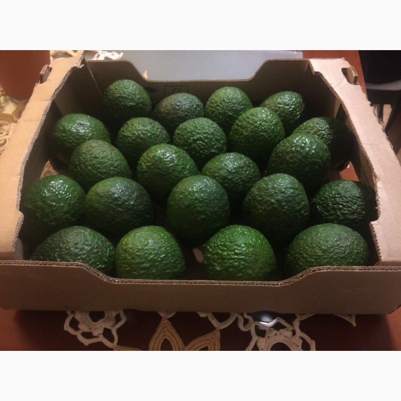 Фото 7. Продаем авокадо из Испании
