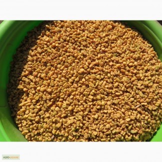 Пажитник (фенугрек) семена/молотый. Индия