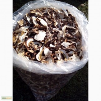 Продам белые грибы из Закарпатя