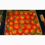 Овочі та фрукти від постачальника, Хмельницкая обл