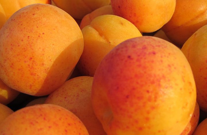 Саджанці абрикосу - більше 10 сортів. Для домашнього саду і оптом