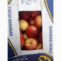 Продам Яблука з Молдови в/гат, в Закарпатті смт Буштино