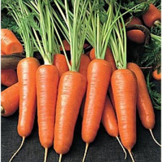 Семена моркови Яскрава