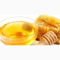 Продам мед