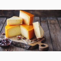 Продам ОПТОМ сыр гауда 50% жирности