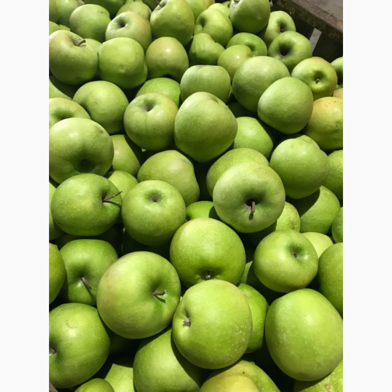 Фото 2. Продаємо яблука зі складу.Грені Сміт, Фуджі, Голден, Ред Делішес