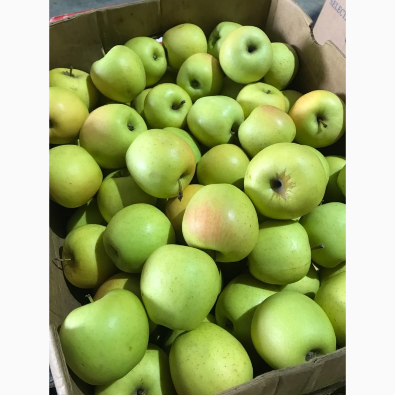 Фото 3. Продаємо яблука зі складу.Грені Сміт, Фуджі, Голден, Ред Делішес