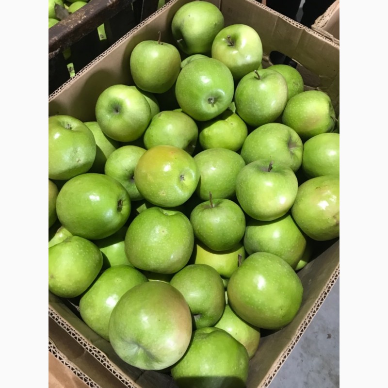 Фото 4. Продаємо яблука зі складу.Грені Сміт, Фуджі, Голден, Ред Делішес