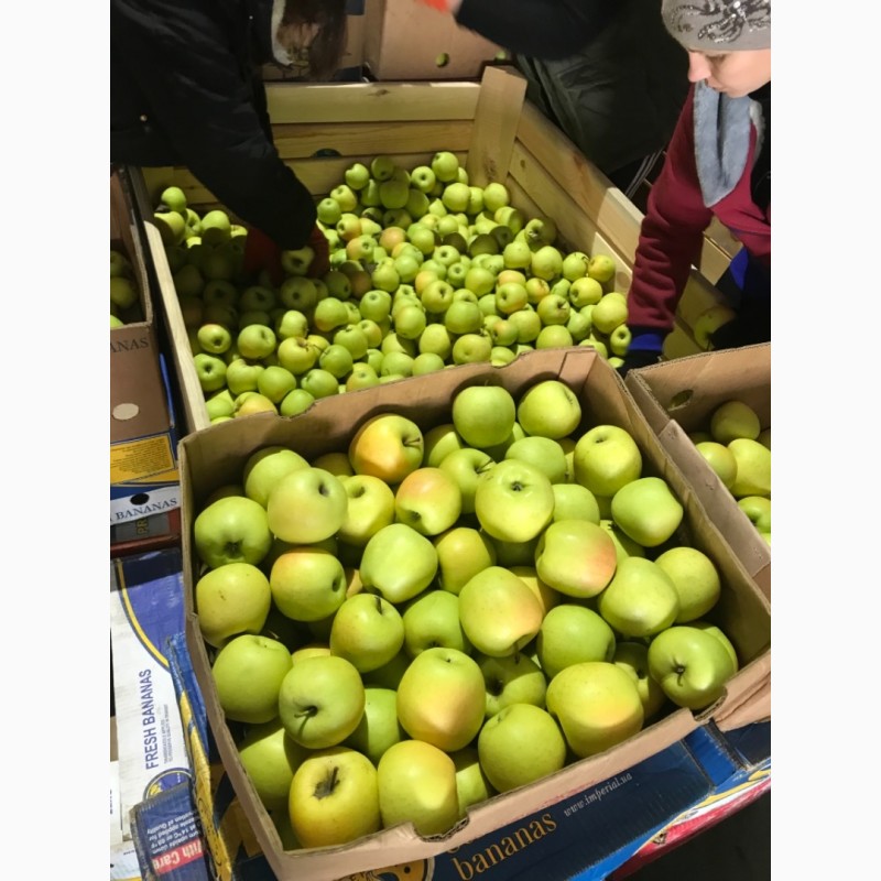 Фото 5. Продаємо яблука зі складу.Грені Сміт, Фуджі, Голден, Ред Делішес