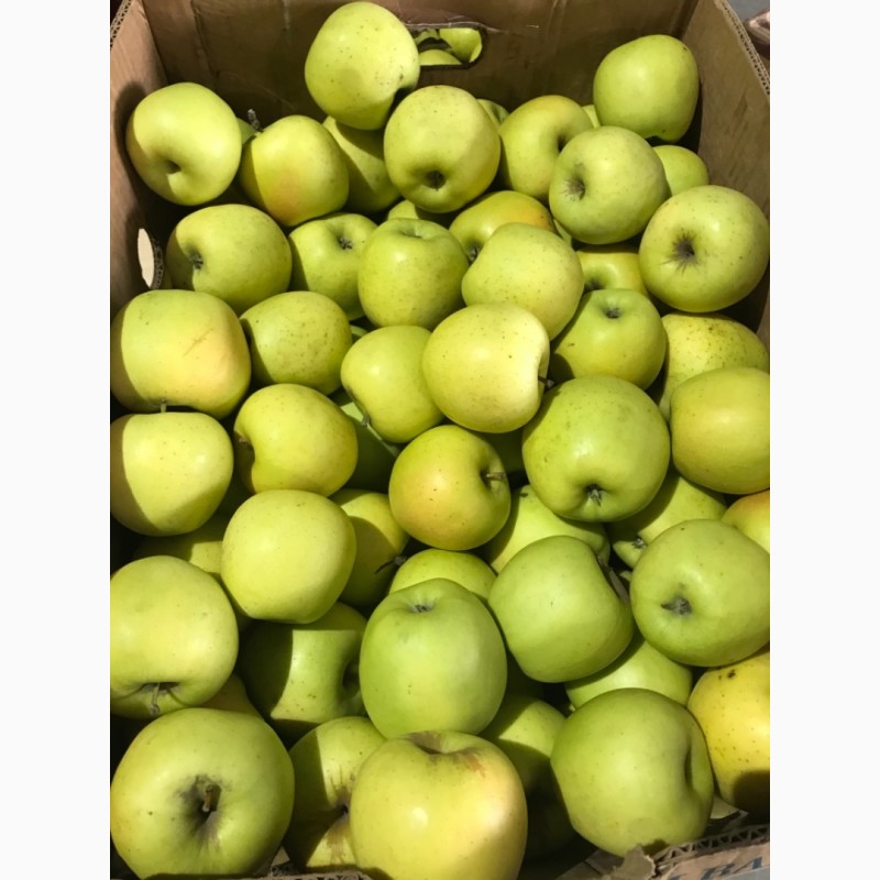 Фото 6. Продаємо яблука зі складу.Грені Сміт, Фуджі, Голден, Ред Делішес