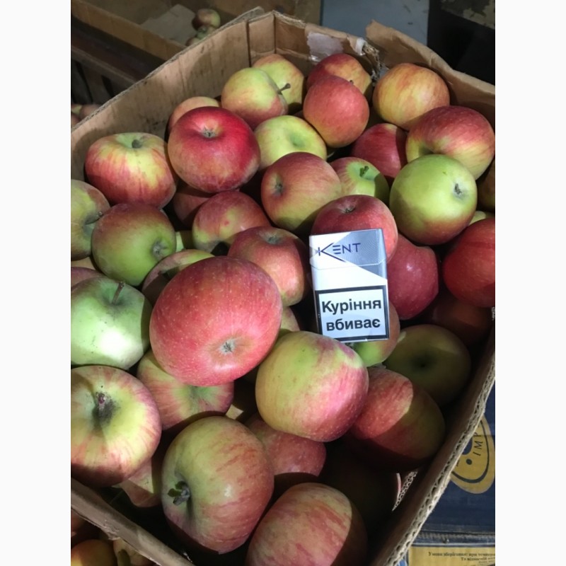 Фото 7. Продаємо яблука зі складу.Грені Сміт, Фуджі, Голден, Ред Делішес