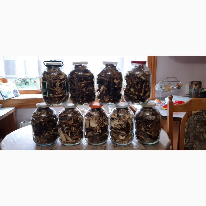 Фото 4. Продам консервовані та сушені( на дровах) грибочки