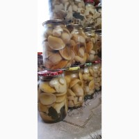 Продам консервовані та сушені( на дровах) грибочки