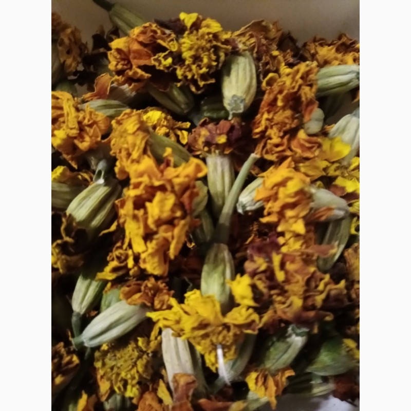 Фото 3. Продам квіти корзинки чорнобривців сухі