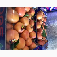 Продам грейпфрут качество