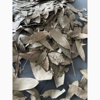 Індійський “лавровий лист (Indian bay-leaf)