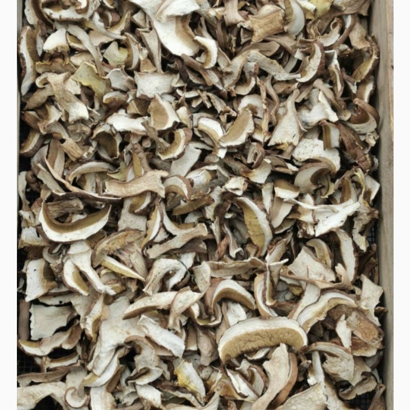 Білі гриби сушені + мариновані