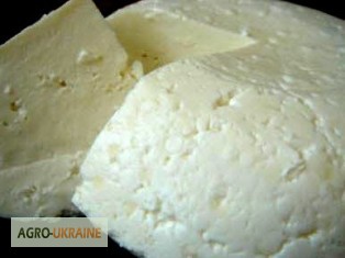 Фото 4. Козье домашнее масло, молоко, твёрдый сыр качотта, творог. Органические продукты