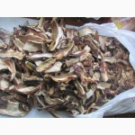 Продам білий сушений(на дровах) гриб