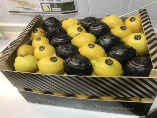 Продаем Лимон Испания
