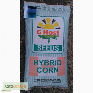 Семена кукурузы G Host