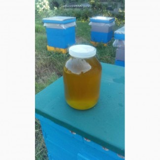 Мед липовой Мед разнотравья Мед подсолнечника