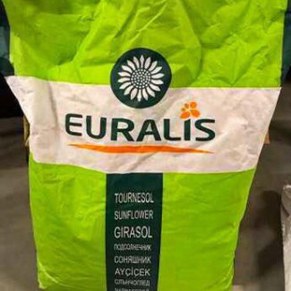 Семена подсолнечника EURALIS ES FLORIMIS/Евралис Флоримис