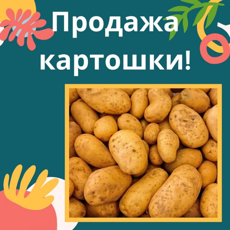 Картинка продам картофель