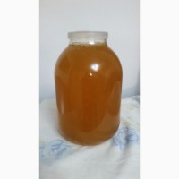 Продам свіжовикачаний мед з різнотрав#039;я