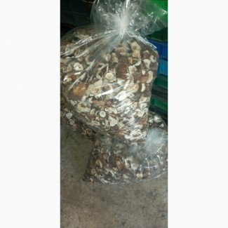 Продам сухі гриби шляпа