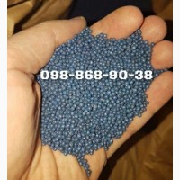 Семена рапса CHILKAT FS-199 и ROCKFORD канадские (озимые) (гибриды)