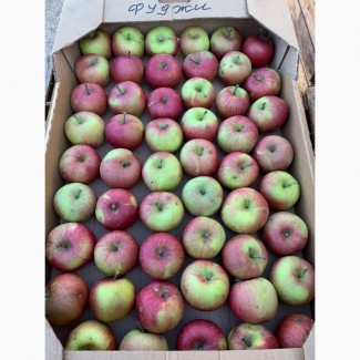 Продам яблоки оптом, Цена от 5 - до 7 грн
