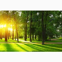 Tравосуміш для благоустрою парків і міських територій Урожай 2022 - 105 грн
