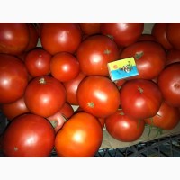 Продам помідор
