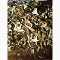 Продам сухі білі гриби