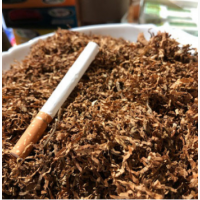 Тютюн, порізка лапшою, врожай 2023 року