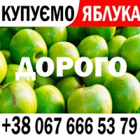 Куплю яблоко на сік Ціна 11, 60 грн Доставка постачальника на м. БАР