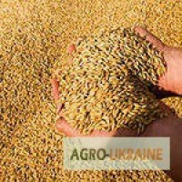 Зерно для корма сельхоз животных из своего хозяйства