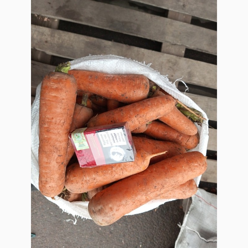 Фото 3. Продаём морковь хорошего качества