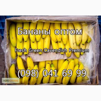 Продаем бананы оптом от поставщика. Лучшие цены, отличное качество