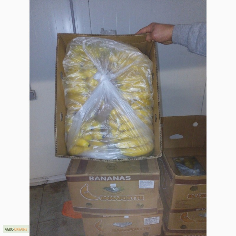 Фото 3. Продаем бананы оптом от поставщика. Лучшие цены, отличное качество
