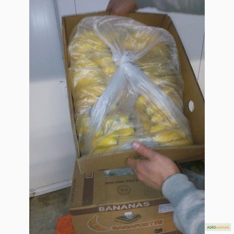 Фото 5. Продаем бананы оптом от поставщика. Лучшие цены, отличное качество
